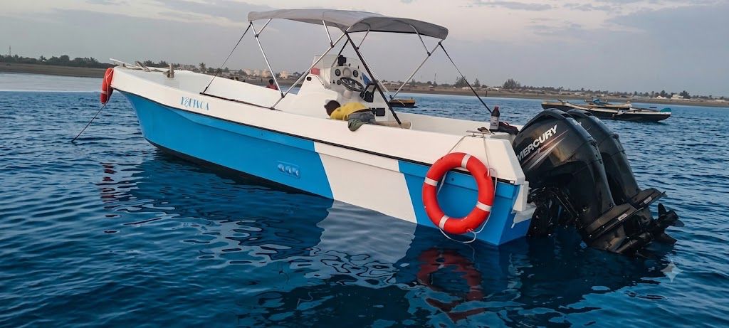 Octopus X 29'