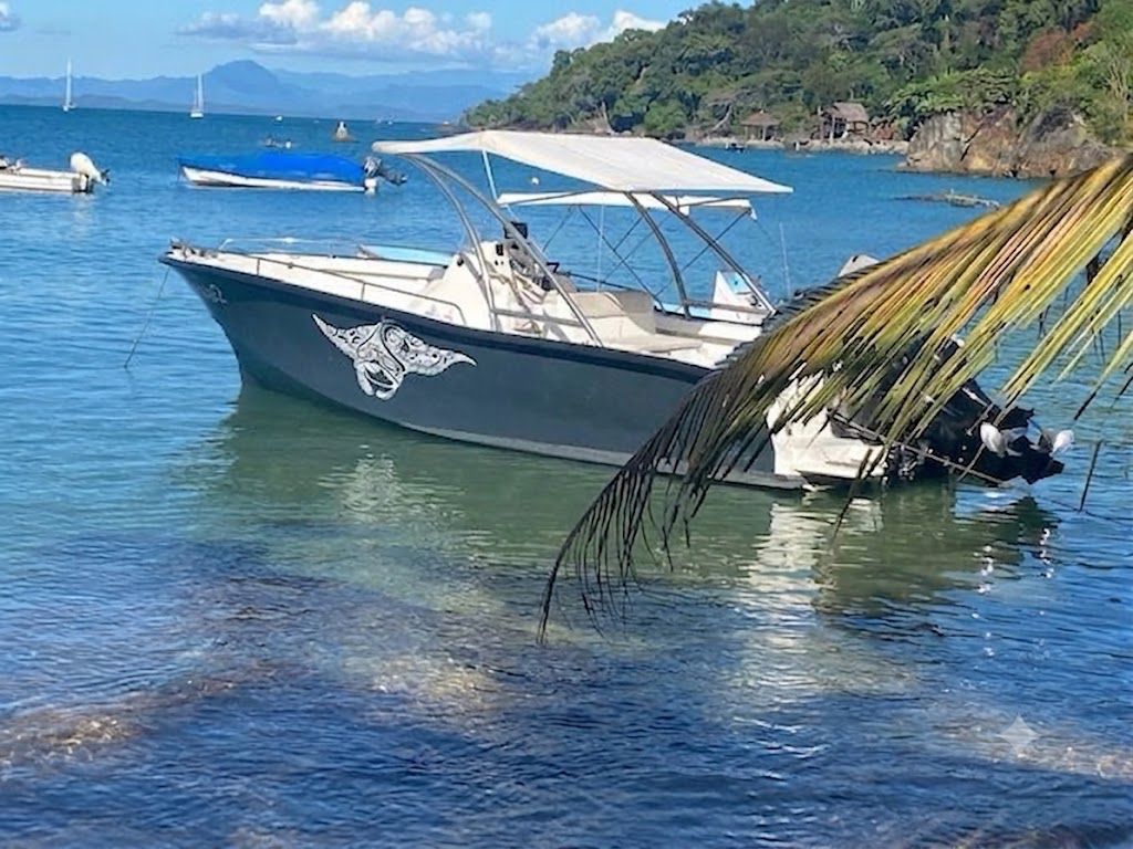 Octopus X 300'